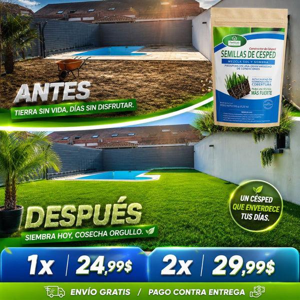 Semillas de Césped Premium